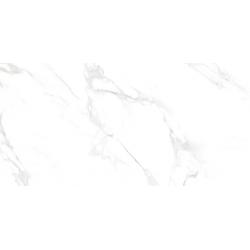 Gres szkliwiony NETTO Acropol White 60x120 Poler